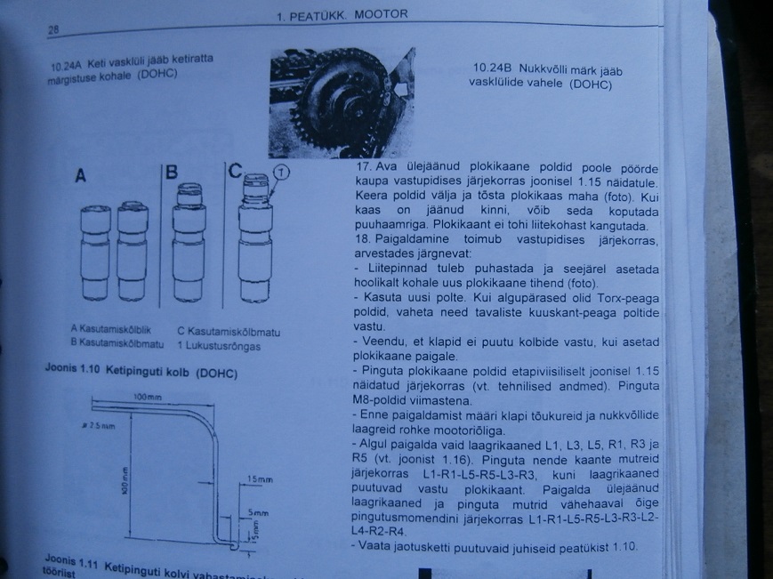 P6130011kluppi.jpg